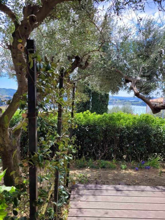 Izabela Apartment Portoroz Bagian luar foto